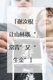 谢汝根：让山林既“常青”又“生金”