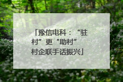 豫信电科：“驻村”更“助村” 村企联手话振兴