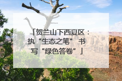 贺兰山下西夏区：执“生态之笔” 书写“绿色答卷”
