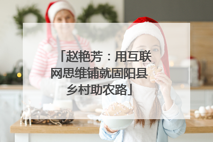 赵艳芳：用互联网思维铺就固阳县乡村助农路
