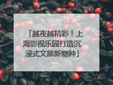 越夜越精彩！上海影视乐园打造沉浸式文旅新物种