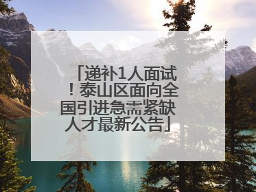 递补1人面试！泰山区面向全国引进急需紧缺人才最新公告