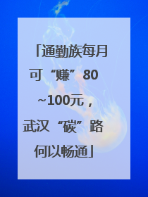 通勤族每月可“赚”80~100元，武汉“碳”路何以畅通