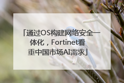 通过OS构建网络安全一体化，Fortinet看重中国市场AI需求