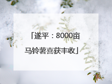 遂平：8000亩马铃薯喜获丰收