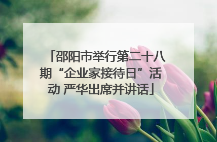 邵阳市举行第二十八期“企业家接待日”活动 严华出席并讲话