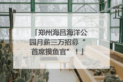 郑州海昌海洋公园月薪三万招募“首席摸鱼官”！