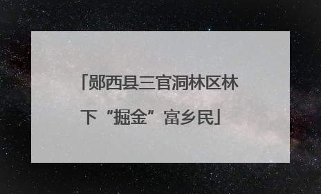 郧西县三官洞林区林下“掘金”富乡民