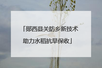郧西县关防乡新技术助力水稻抗旱保收