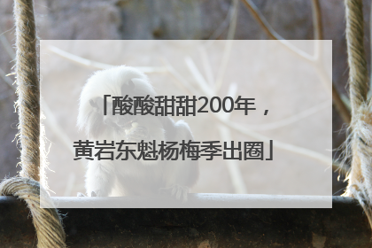 酸酸甜甜200年，黄岩东魁杨梅季出圈