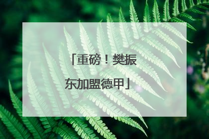 重磅！樊振东加盟德甲