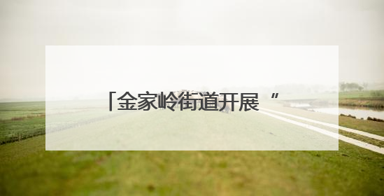 金家岭街道开展“助力高考 爱心护航”志愿服务活动
