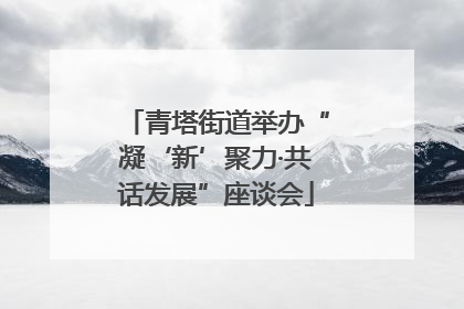 青塔街道举办“凝‘新’聚力·共话发展”座谈会