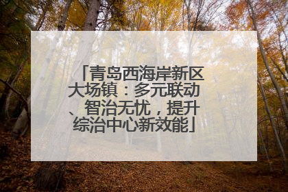 青岛西海岸新区大场镇：多元联动、智治无忧，提升综治中心新效能