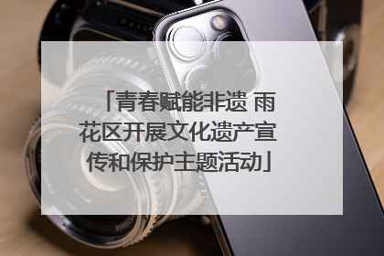 青春赋能非遗 雨花区开展文化遗产宣传和保护主题活动