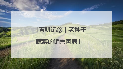 青耕记③｜老种子蔬菜的销售困局