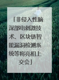 非侵入性脑深部电刺激技术、区块链智能漏洞检测系统等将亮相上交会