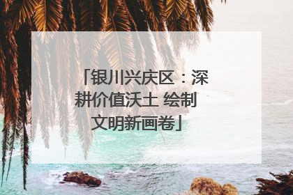 银川兴庆区：深耕价值沃土 绘制文明新画卷