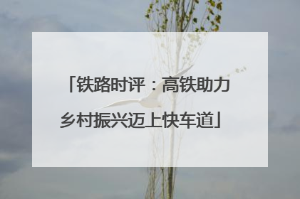 铁路时评：高铁助力乡村振兴迈上快车道