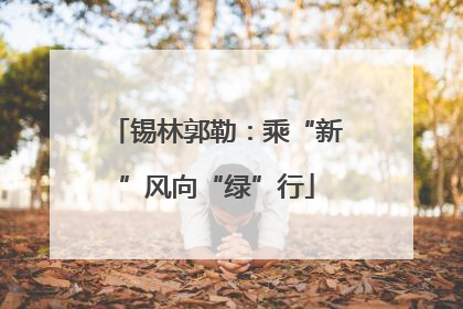 锡林郭勒：乘“新”风向“绿”行