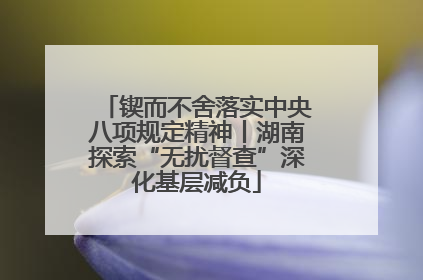 锲而不舍落实中央八项规定精神丨湖南探索“无扰督查”深化基层减负