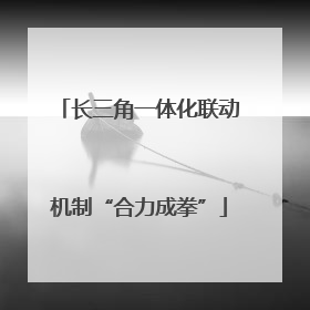 长三角一体化联动机制“合力成拳”
