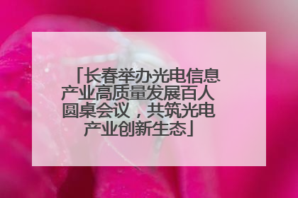 长春举办光电信息产业高质量发展百人圆桌会议，共筑光电产业创新生态