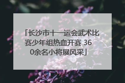长沙市十一运会武术比赛少年组热血开赛 360余名小将展风采