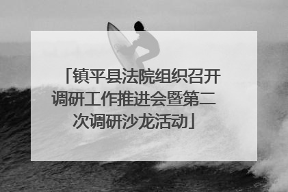 镇平县法院组织召开调研工作推进会暨第二次调研沙龙活动