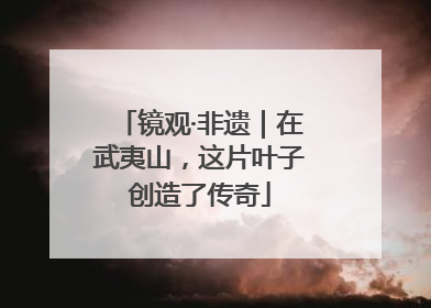 镜观·非遗|在武夷山,这片叶子创造了传奇