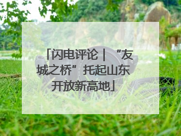 闪电评论｜“友城之桥”托起山东开放新高地