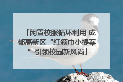 闲置校服循环利用 成都高新区“红领巾小提案”引领校园新风尚