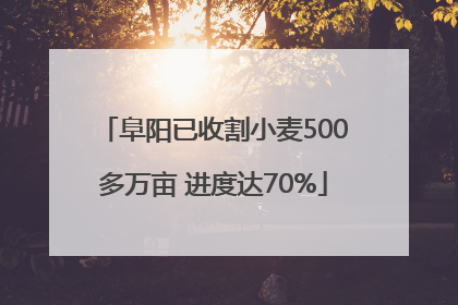 阜阳已收割小麦500多万亩 进度达70%