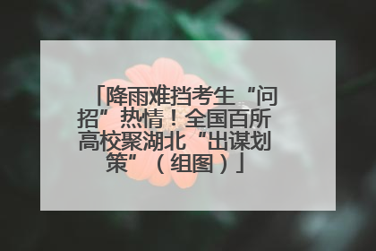降雨难挡考生“问招”热情！全国百所高校聚湖北“出谋划策”（组图）