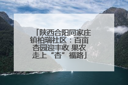 陕西合阳同家庄镇柏瑞社区：百亩杏园迎丰收 果农走上“杏”福路