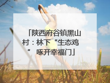 陕西府谷镇黑山村：林下“生态鸡” 啄开幸福门