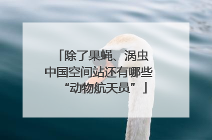 除了果蝇、涡虫 中国空间站还有哪些“动物航天员”