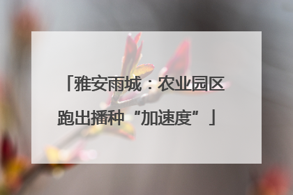 雅安雨城：农业园区跑出播种“加速度”