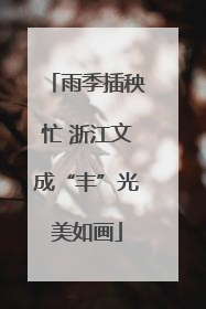 雨季插秧忙 浙江文成“丰”光美如画