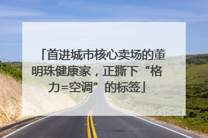 首进城市核心卖场的董明珠健康家，正撕下“格力=空调”的标签