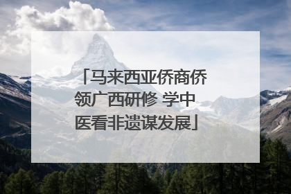 马来西亚侨商侨领广西研修 学中医看非遗谋发展