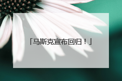 马斯克宣布回归！