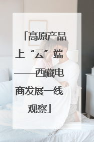 高原产品上“云”端——西藏电商发展一线观察