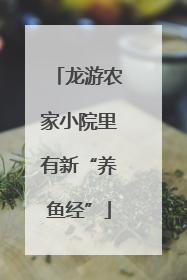 龙游农家小院里有新“养鱼经”