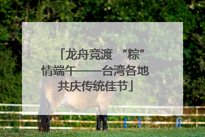 龙舟竞渡 “粽”情端午——台湾各地共庆传统佳节