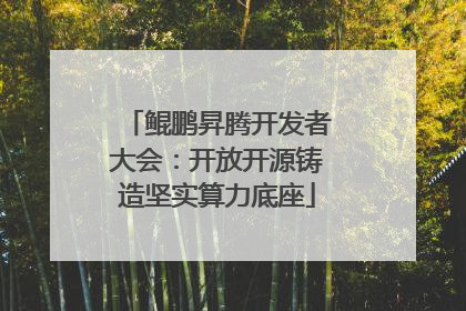 鲲鹏昇腾开发者大会：开放开源铸造坚实算力底座