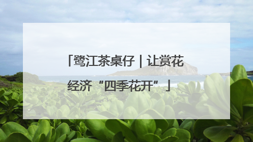 鹭江茶桌仔｜让赏花经济“四季花开”