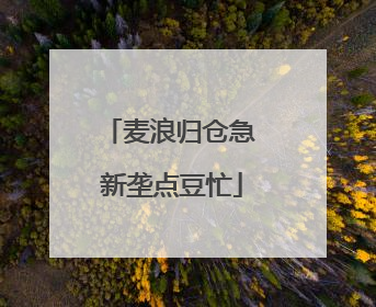麦浪归仓急 新垄点豆忙