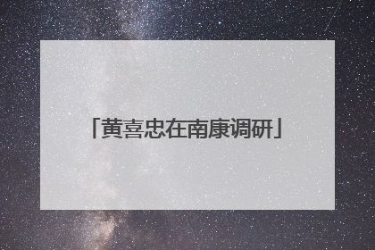 黄喜忠在南康调研