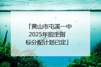 黄山市屯溪一中2025年招生指标分配计划已定